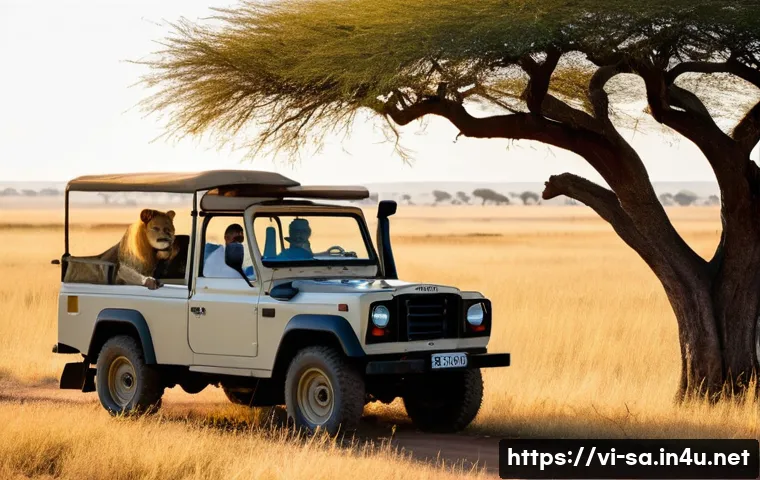 남아프리카 국립공원 사파리 투어 - **Prompt 1: Safari Game Drive - Encounter with the King of the Jungle**
"An open-top safari jeep...