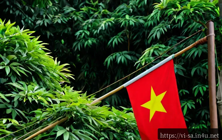 Những ngôi sao bóng đá Nam Phi đáng nhớ: Thành tích, vị trí và cách theo dõi 4 남아프리카 공화국 스타 축구 선수 관련 이미지 2